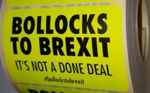 BollocksToBrexit Sticker.jpg