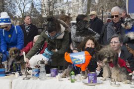 2190310 BT WOOF 041 WEB.jpg