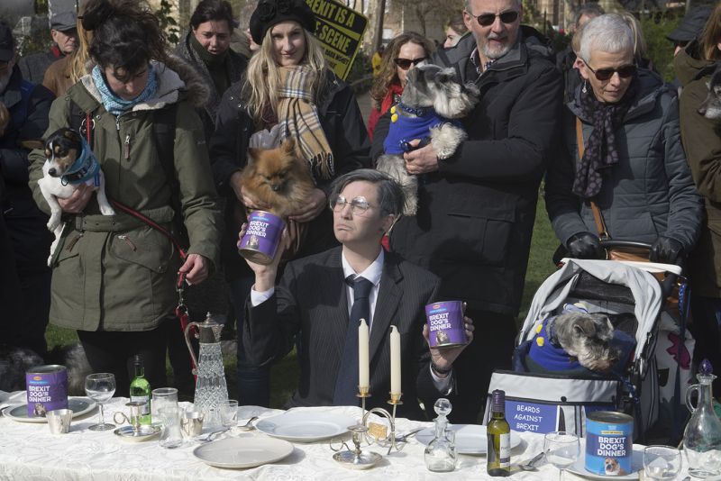 File:2190310 BT WOOF 015 WEB.jpg