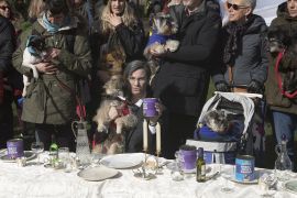 2190310 BT WOOF 019 WEB.jpg