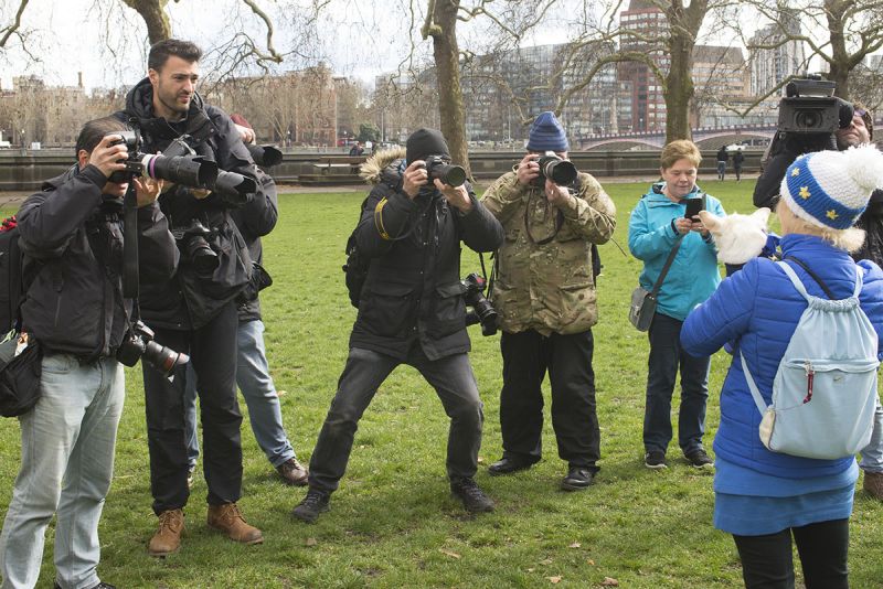 File:2190310 BT WOOF 008 WEB.jpg