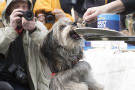 2190310 BT WOOF 057 WEB.jpg