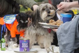 2190310 BT WOOF 047 WEB.jpg