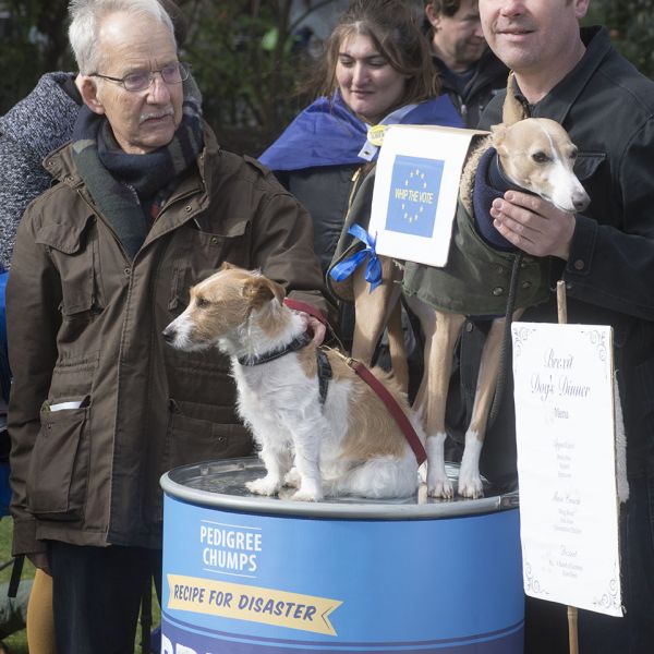 File:2190310 BT WOOF 030 WEB.jpg