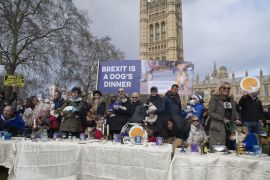 2190310 BT WOOF 036 WEB.jpg