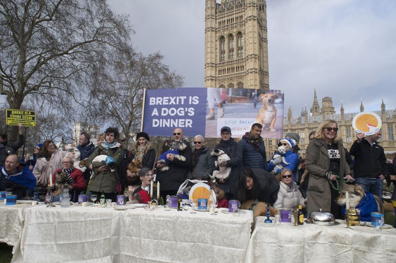 File:2190310 BT WOOF 036 WEB.jpg