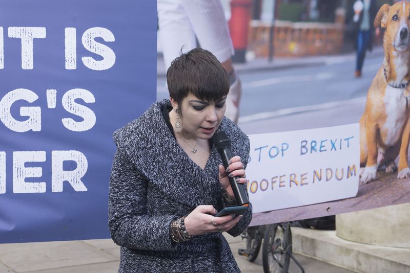 File:2190310 BT WOOF 166 WEB.jpg