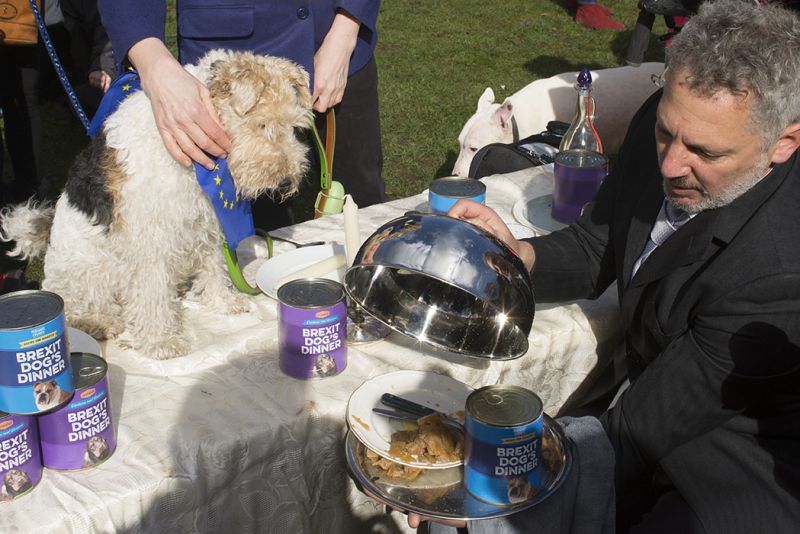 File:2190310 BT WOOF 061 WEB.jpg