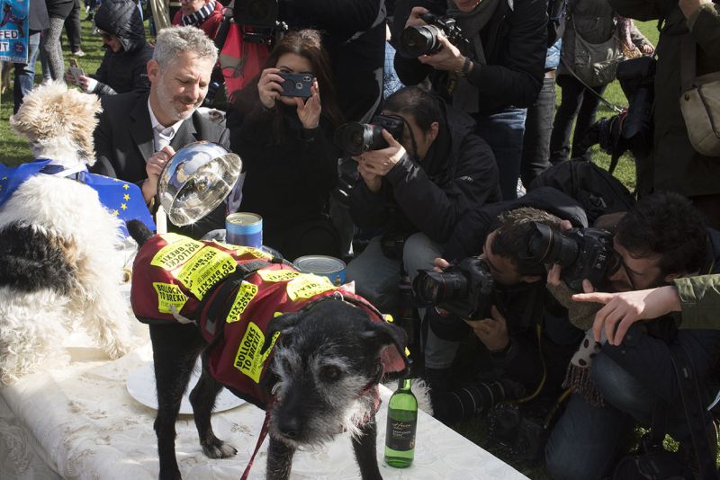 File:2190310 BT WOOF 064 WEB.jpg