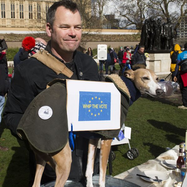 File:2190310 BT WOOF 066 WEB.jpg