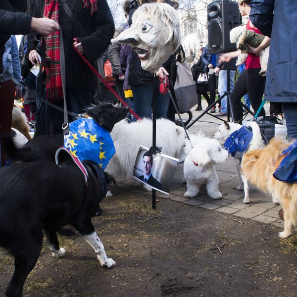 File:2190310 BT WOOF 100 WEB.jpg