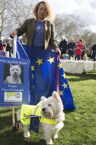 File:2190310 BT WOOF 081 WEB.jpg