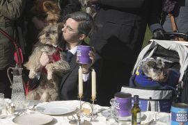 2190310 BT WOOF 020 WEB.jpg