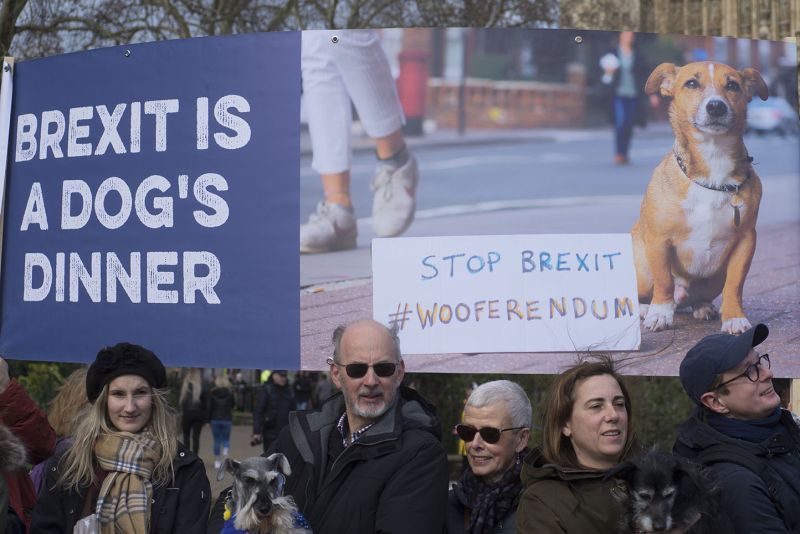 File:2190310 BT WOOF 024 WEB.jpg