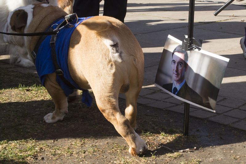 File:2190310 BT WOOF 104 WEB.jpg