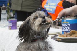 2190310 BT WOOF 056 WEB.jpg