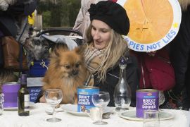 2190310 BT WOOF 037 WEB.jpg