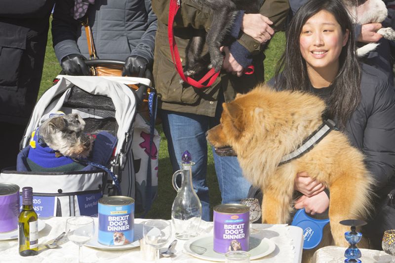 File:2190310 BT WOOF 021 WEB.jpg