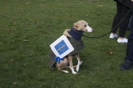 2190310 BT WOOF 014 WEB.jpg