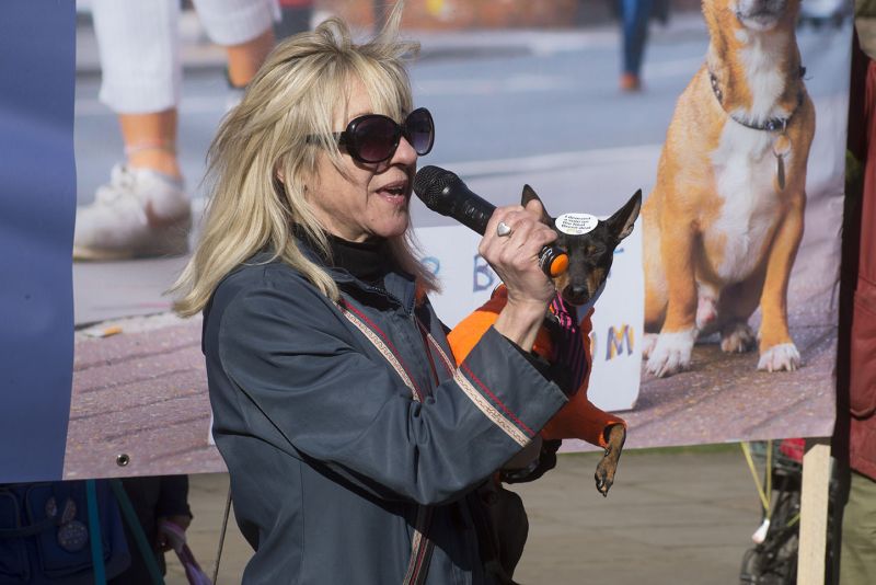 File:2190310 BT WOOF 133 WEB.jpg