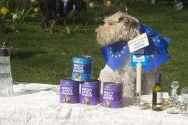 2190310 BT WOOF 068 WEB.jpg