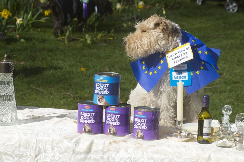 File:2190310 BT WOOF 068 WEB.jpg