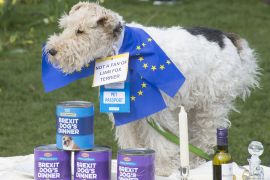 2190310 BT WOOF 074 WEB.jpg